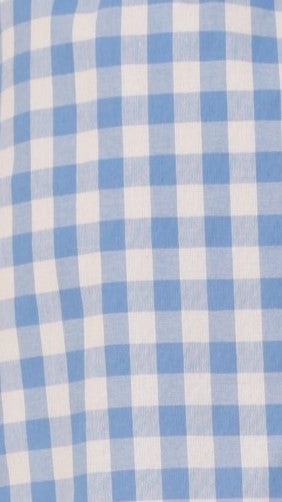 Madison Mini Skirt - Blue/White Gingham