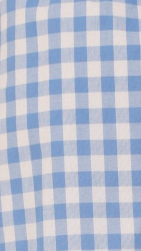 Madison Mini Skirt - Blue/White Gingham
