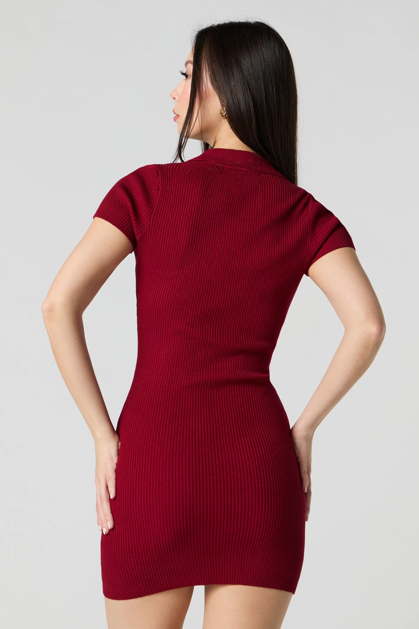 Ribbed Knit Collared Mini Dress